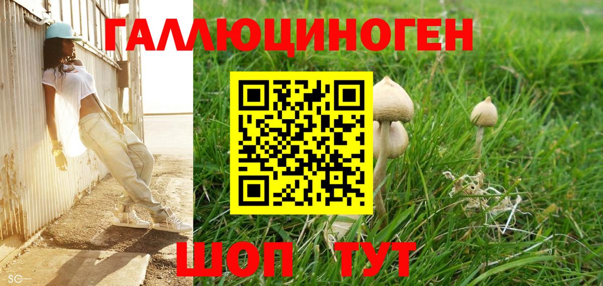 Галлюциногенные грибы MAGIC MUSHROOMS  Вход с VPN  цена   Вязники 