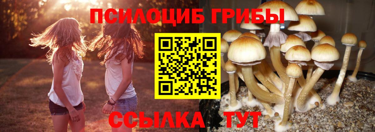 Галлюциногенные грибы Cubensis Вязники